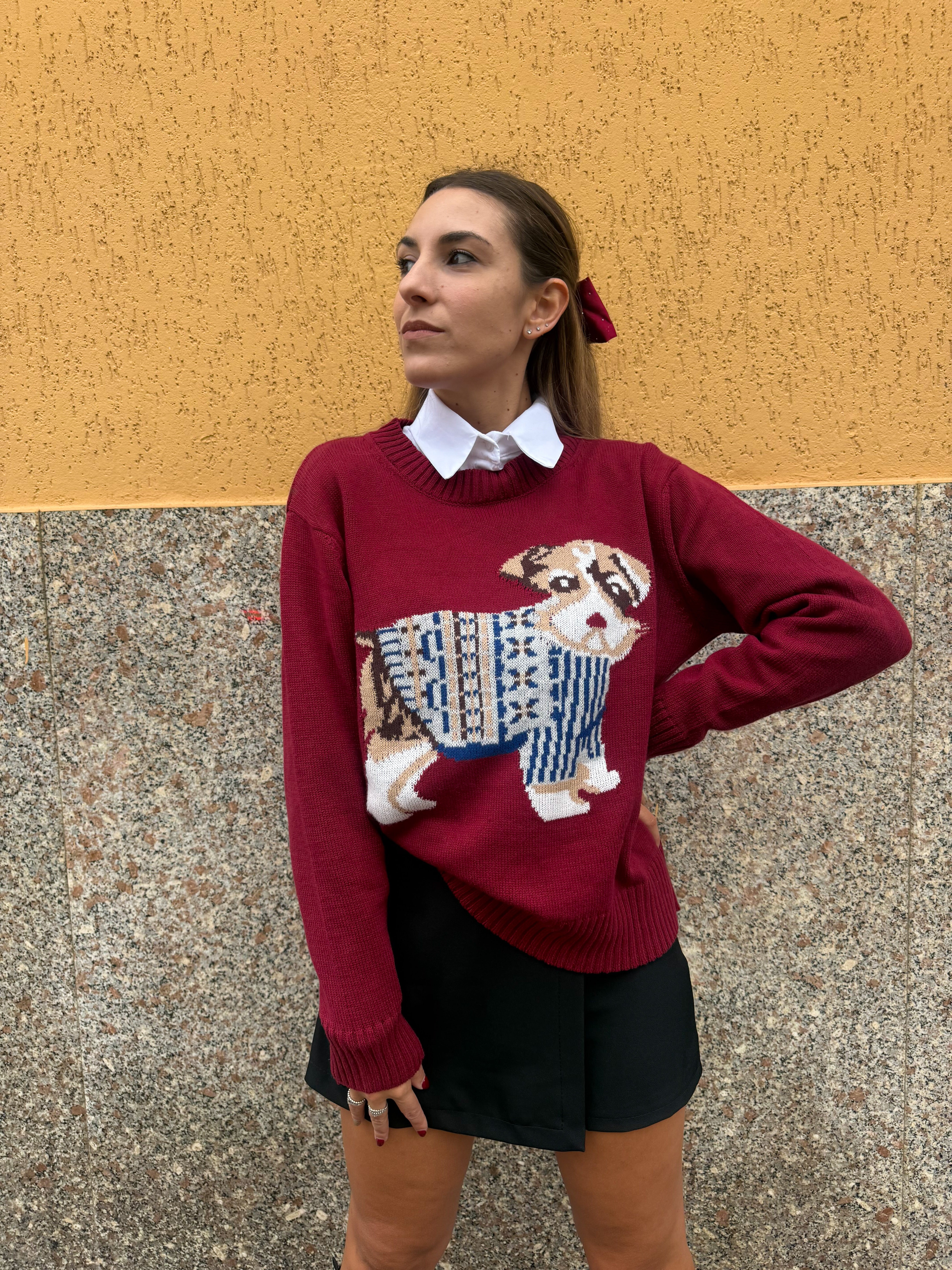Pullover “Puppy Mood” bordeaux
